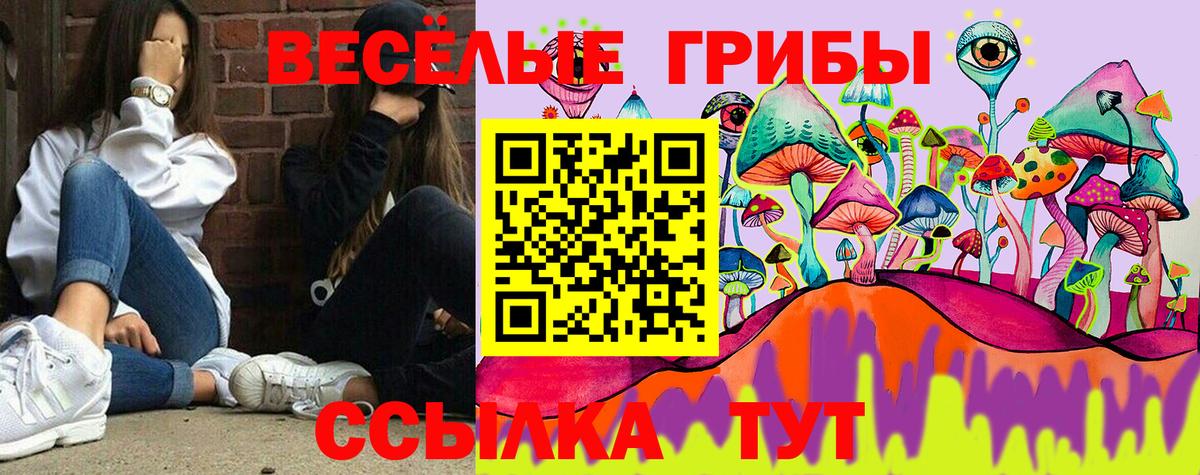 Благовещенск  Псилоцибиновые грибы мухоморы  Вход с VPN  Галлюциногенные грибы ЛСД 